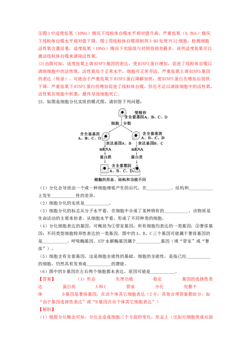 考点14细胞的分化、衰老和死亡（核心考点讲与练）-2023年高考生物一轮复习讲练测（全国通用）（解析版）_通用版（老高考）复习资料_2023年复习资料_一轮复习