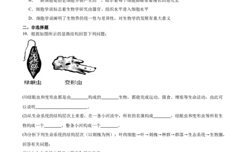 考点通关卷01走近细胞（原卷版）_2025年新高考资料_一轮复习_2025年高考生物一轮复习考点通关卷（新高考通用）_考点通关卷01走近细胞-2025年高考生物一轮复习考点通关卷（新高考通用）