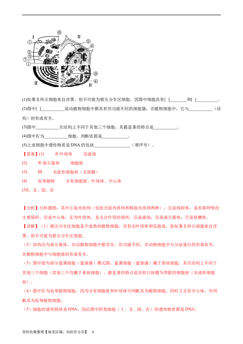 考点通关卷06细胞器和生物膜系统（解析版）_新高考复习资料_2024年新高考复习资料_一轮复习资料_完2024年高考生物一轮复习考点通关卷（新高考）_考点通关卷06细胞器和生物膜系统