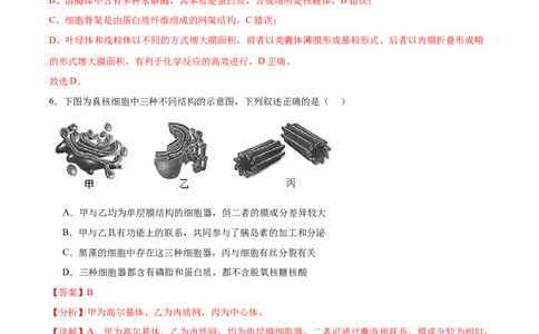 考点通关卷06细胞器和生物膜系统（解析版）_新高考复习资料_2024年新高考复习资料_一轮复习资料_完2024年高考生物一轮复习考点通关卷（新高考）_考点通关卷06细胞器和生物膜系统