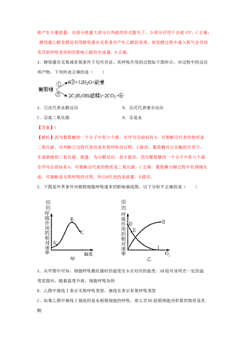 考点11细胞呼吸（核心考点讲与练）-2023年高考生物一轮复习讲练测（全国通用）（解析版）_通用版（老高考）复习资料_2023年复习资料_一轮复习