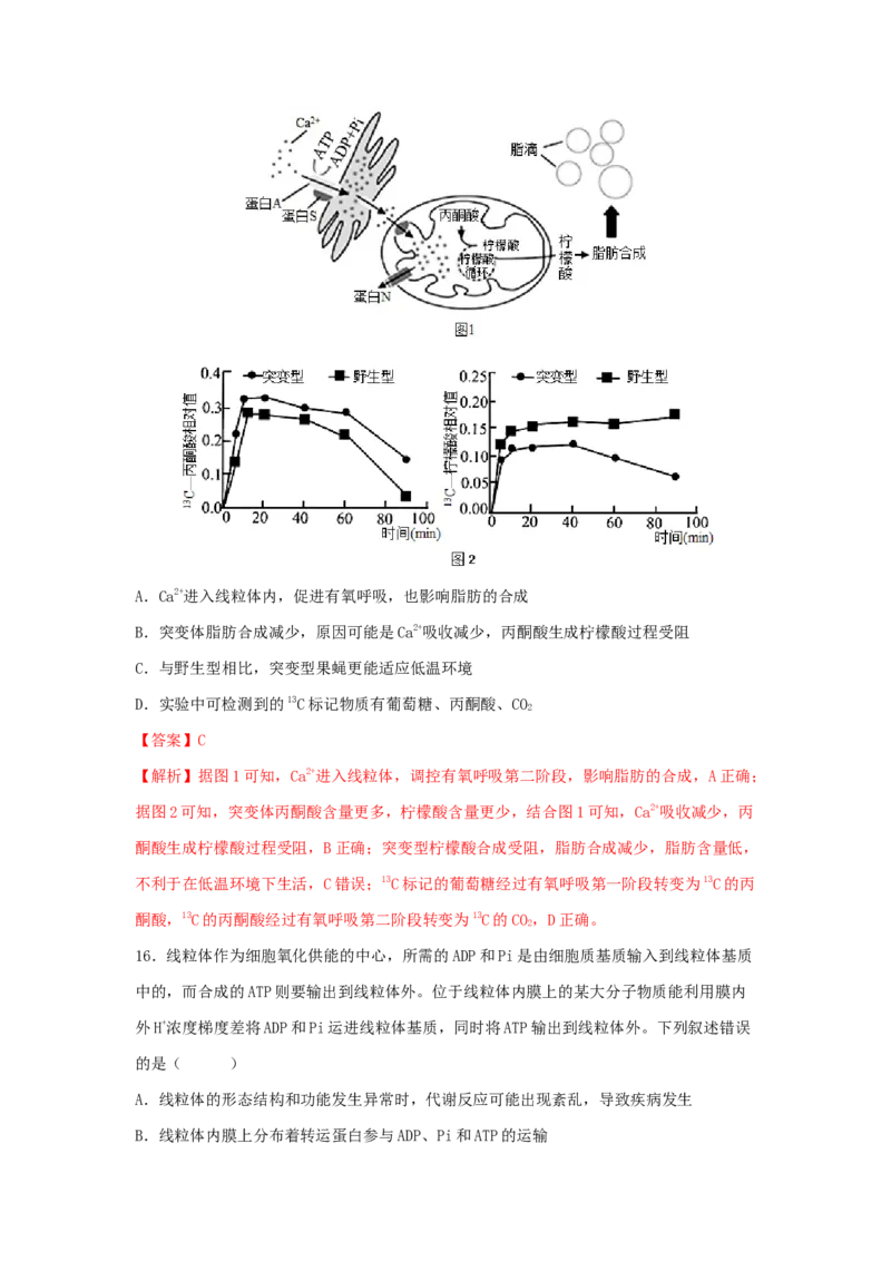 考点11细胞呼吸（核心考点讲与练）-2023年高考生物一轮复习讲练测（全国通用）（解析版）_通用版（老高考）复习资料_2023年复习资料_一轮复习