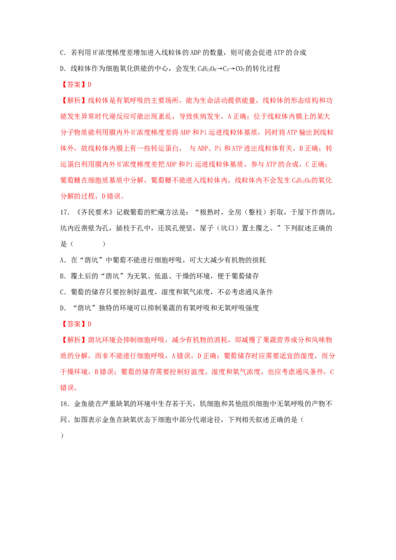 考点11细胞呼吸（核心考点讲与练）-2023年高考生物一轮复习讲练测（全国通用）（解析版）_通用版（老高考）复习资料_2023年复习资料_一轮复习
