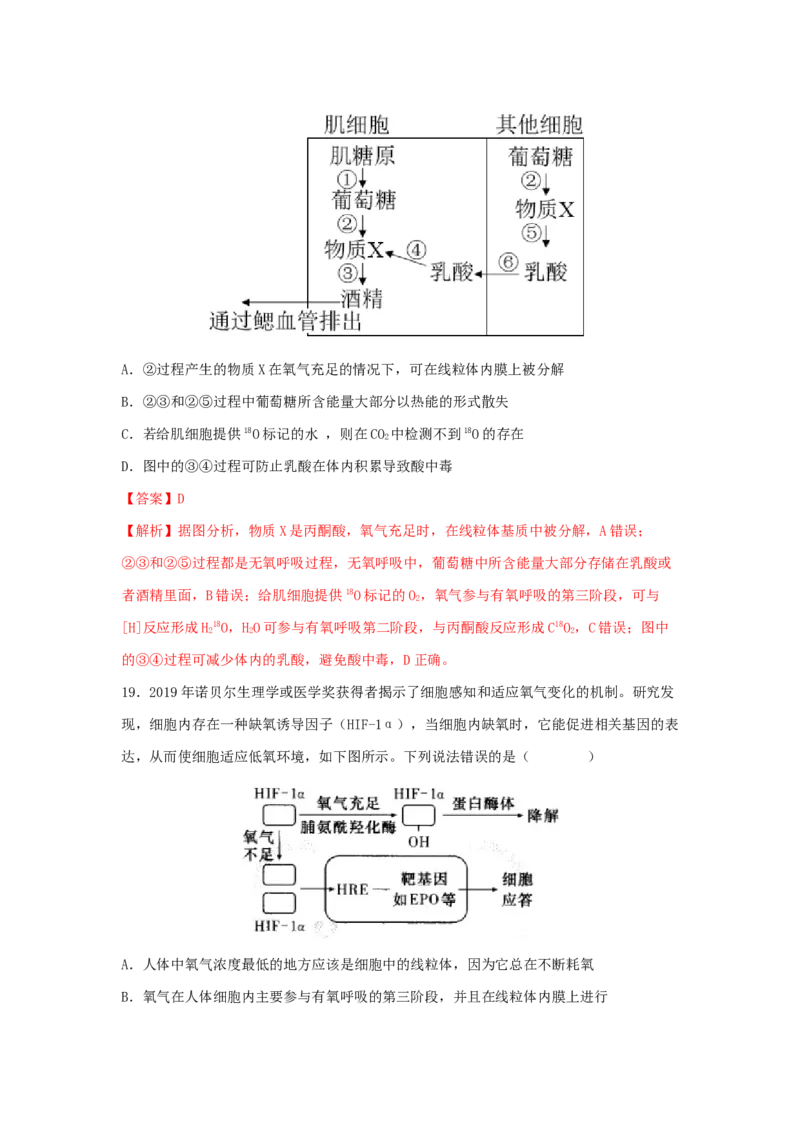考点11细胞呼吸（核心考点讲与练）-2023年高考生物一轮复习讲练测（全国通用）（解析版）_通用版（老高考）复习资料_2023年复习资料_一轮复习