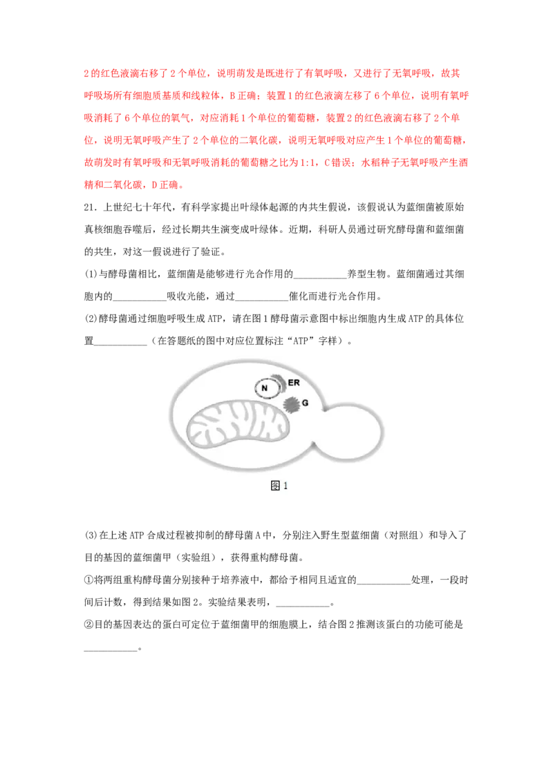 考点11细胞呼吸（核心考点讲与练）-2023年高考生物一轮复习讲练测（全国通用）（解析版）_通用版（老高考）复习资料_2023年复习资料_一轮复习