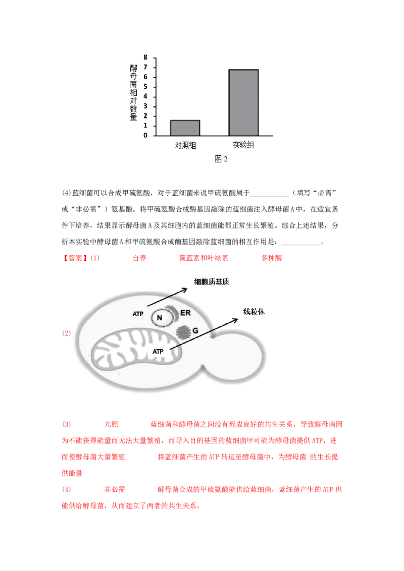 考点11细胞呼吸（核心考点讲与练）-2023年高考生物一轮复习讲练测（全国通用）（解析版）_通用版（老高考）复习资料_2023年复习资料_一轮复习