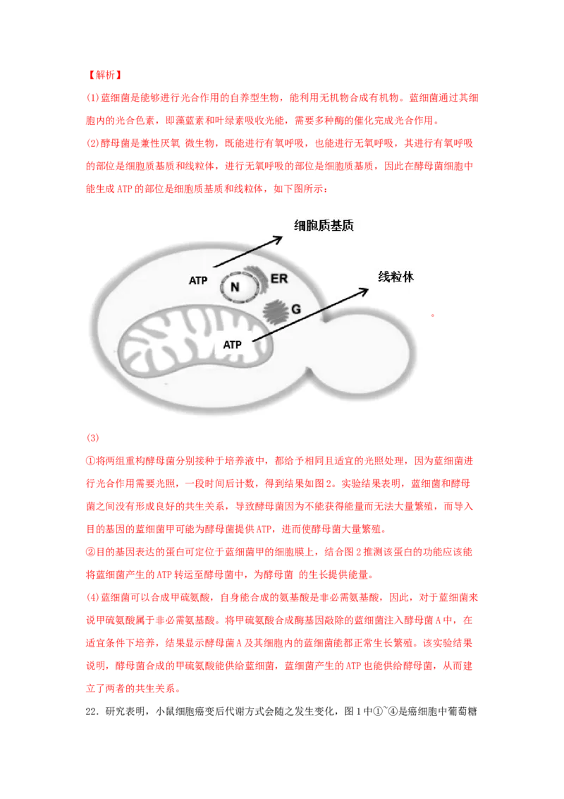 考点11细胞呼吸（核心考点讲与练）-2023年高考生物一轮复习讲练测（全国通用）（解析版）_通用版（老高考）复习资料_2023年复习资料_一轮复习