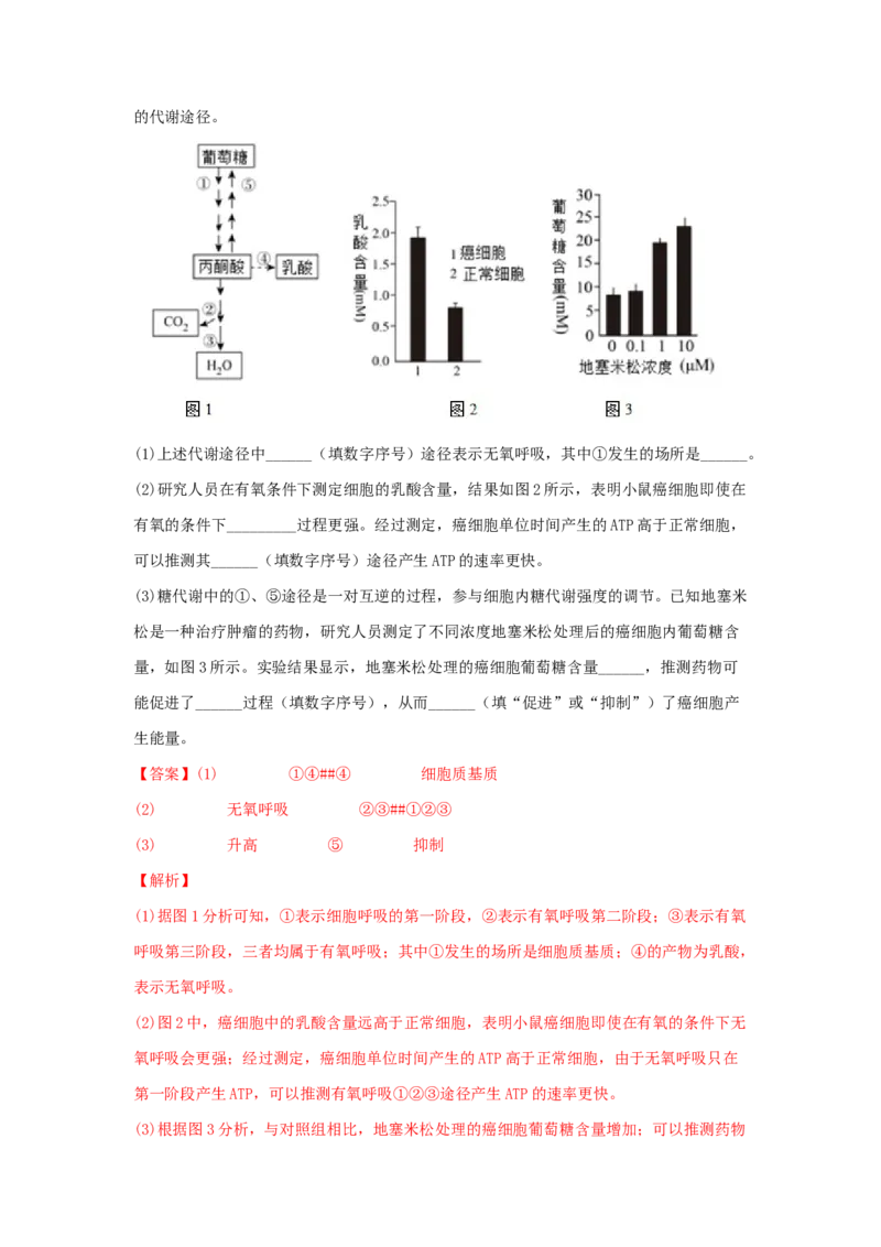 考点11细胞呼吸（核心考点讲与练）-2023年高考生物一轮复习讲练测（全国通用）（解析版）_通用版（老高考）复习资料_2023年复习资料_一轮复习