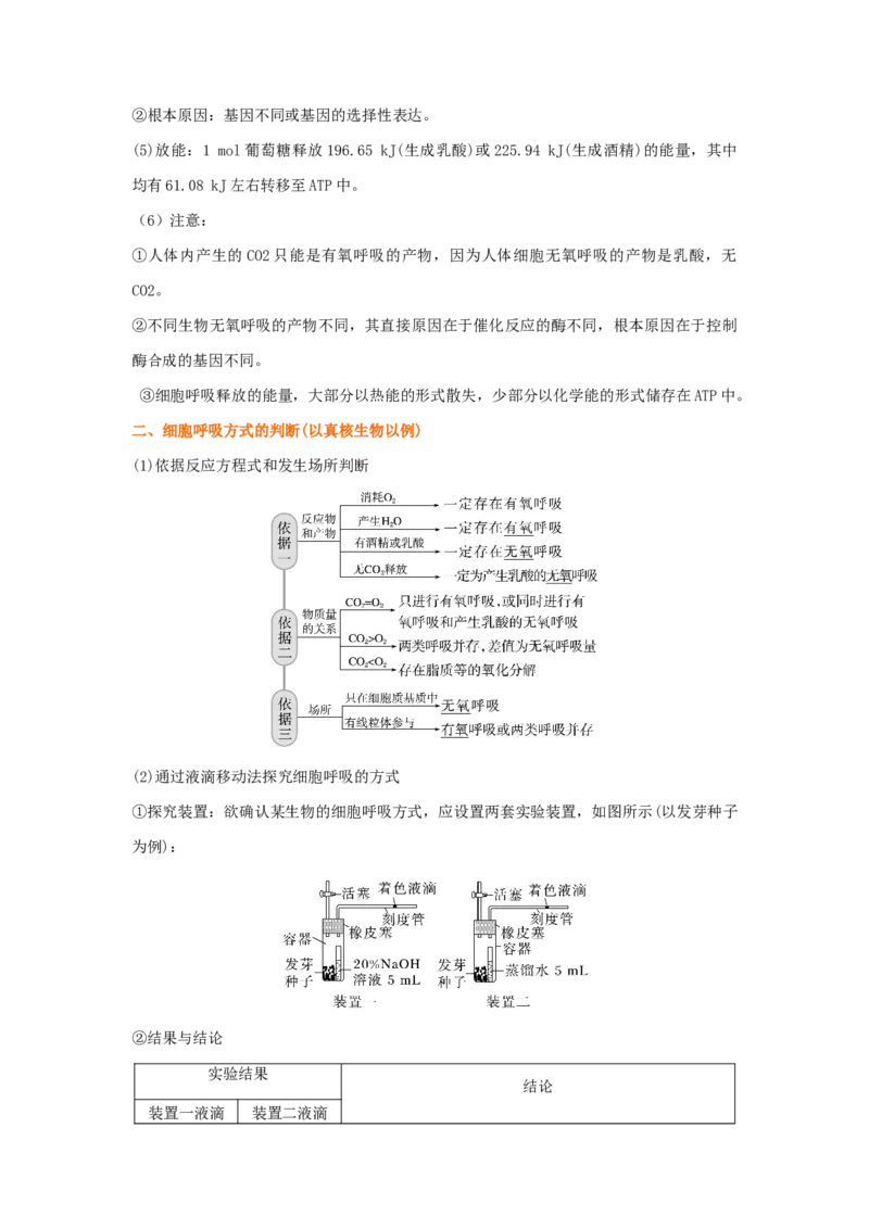 考点11细胞呼吸（核心考点讲与练）-2023年高考生物一轮复习讲练测（全国通用）（解析版）_通用版（老高考）复习资料_2023年复习资料_一轮复习
