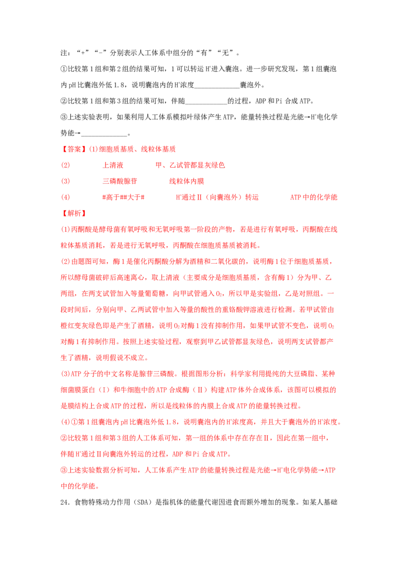 考点11细胞呼吸（核心考点讲与练）-2023年高考生物一轮复习讲练测（全国通用）（解析版）_通用版（老高考）复习资料_2023年复习资料_一轮复习