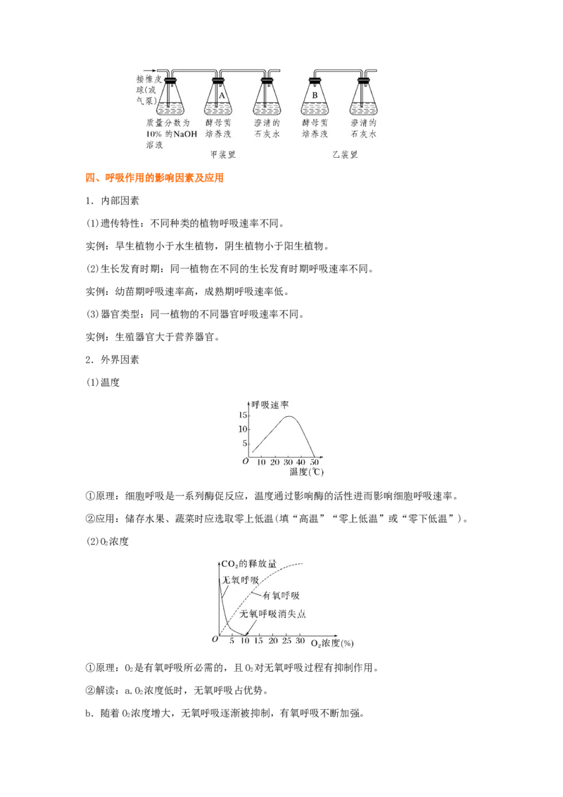 考点11细胞呼吸（核心考点讲与练）-2023年高考生物一轮复习讲练测（全国通用）（解析版）_通用版（老高考）复习资料_2023年复习资料_一轮复习
