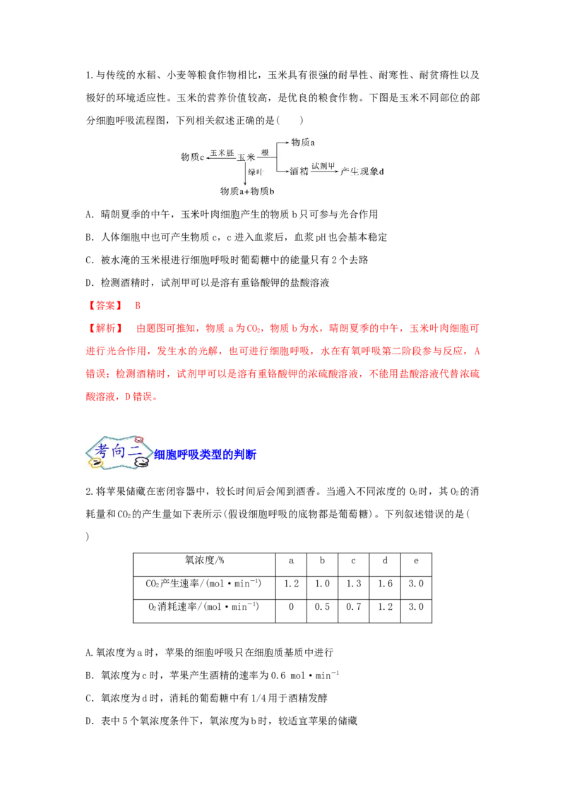 考点11细胞呼吸（核心考点讲与练）-2023年高考生物一轮复习讲练测（全国通用）（解析版）_通用版（老高考）复习资料_2023年复习资料_一轮复习