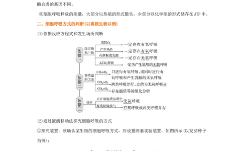考点11细胞呼吸（核心考点讲与练）-2023年高考生物一轮复习讲练测（全国通用）（解析版）_通用版（老高考）复习资料_2023年复习资料_一轮复习