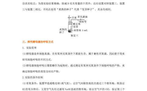 考点11细胞呼吸（核心考点讲与练）-2023年高考生物一轮复习讲练测（全国通用）（解析版）_通用版（老高考）复习资料_2023年复习资料_一轮复习