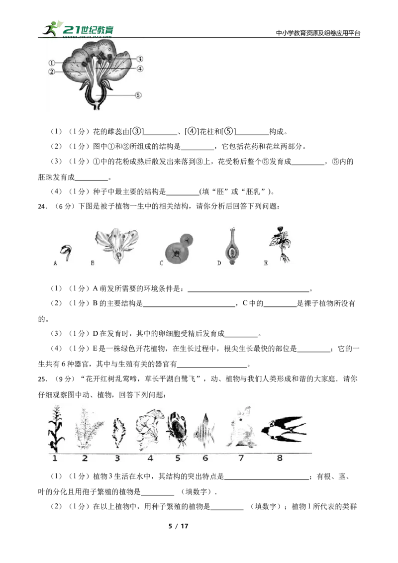 人教版2023届中考一轮复习专用训练卷&mdash;专题5生物圈中有哪些绿色植物（含解析）_6生物中考复习_2023年中考复习资料_一轮复习_人教版2023届中考生物一轮复习专用训练卷