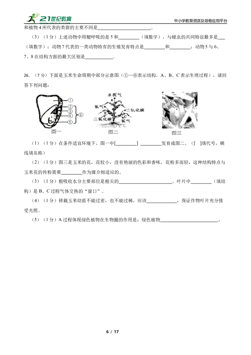 人教版2023届中考一轮复习专用训练卷&mdash;专题5生物圈中有哪些绿色植物（含解析）_6生物中考复习_2023年中考复习资料_一轮复习_人教版2023届中考生物一轮复习专用训练卷