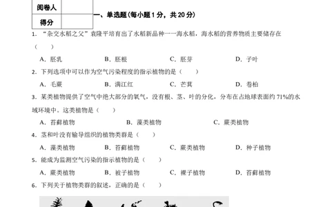 人教版2023届中考一轮复习专用训练卷&mdash;专题5生物圈中有哪些绿色植物（含解析）_6生物中考复习_2023年中考复习资料_一轮复习_人教版2023届中考生物一轮复习专用训练卷