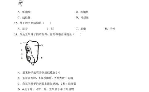 人教版2023届中考一轮复习专用训练卷&mdash;专题5生物圈中有哪些绿色植物（含解析）_6生物中考复习_2023年中考复习资料_一轮复习_人教版2023届中考生物一轮复习专用训练卷