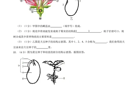人教版2023届中考一轮复习专用训练卷&mdash;专题5生物圈中有哪些绿色植物（含解析）_6生物中考复习_2023年中考复习资料_一轮复习_人教版2023届中考生物一轮复习专用训练卷