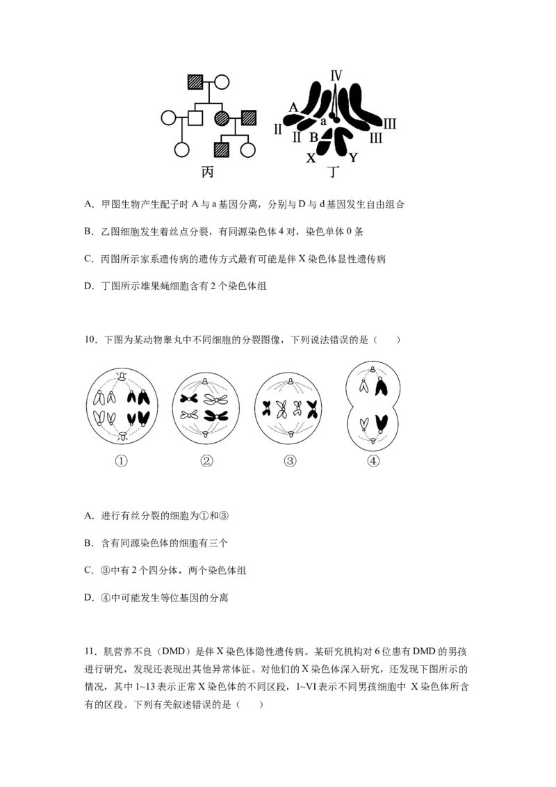 考点22染色体变异（原卷版）_通用版（老高考）复习资料_2023年复习资料_一轮复习_2023年高考生物一轮复习讲练测（全国通用）