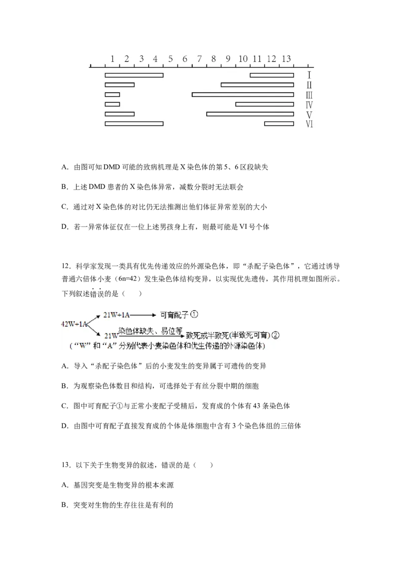 考点22染色体变异（原卷版）_通用版（老高考）复习资料_2023年复习资料_一轮复习_2023年高考生物一轮复习讲练测（全国通用）