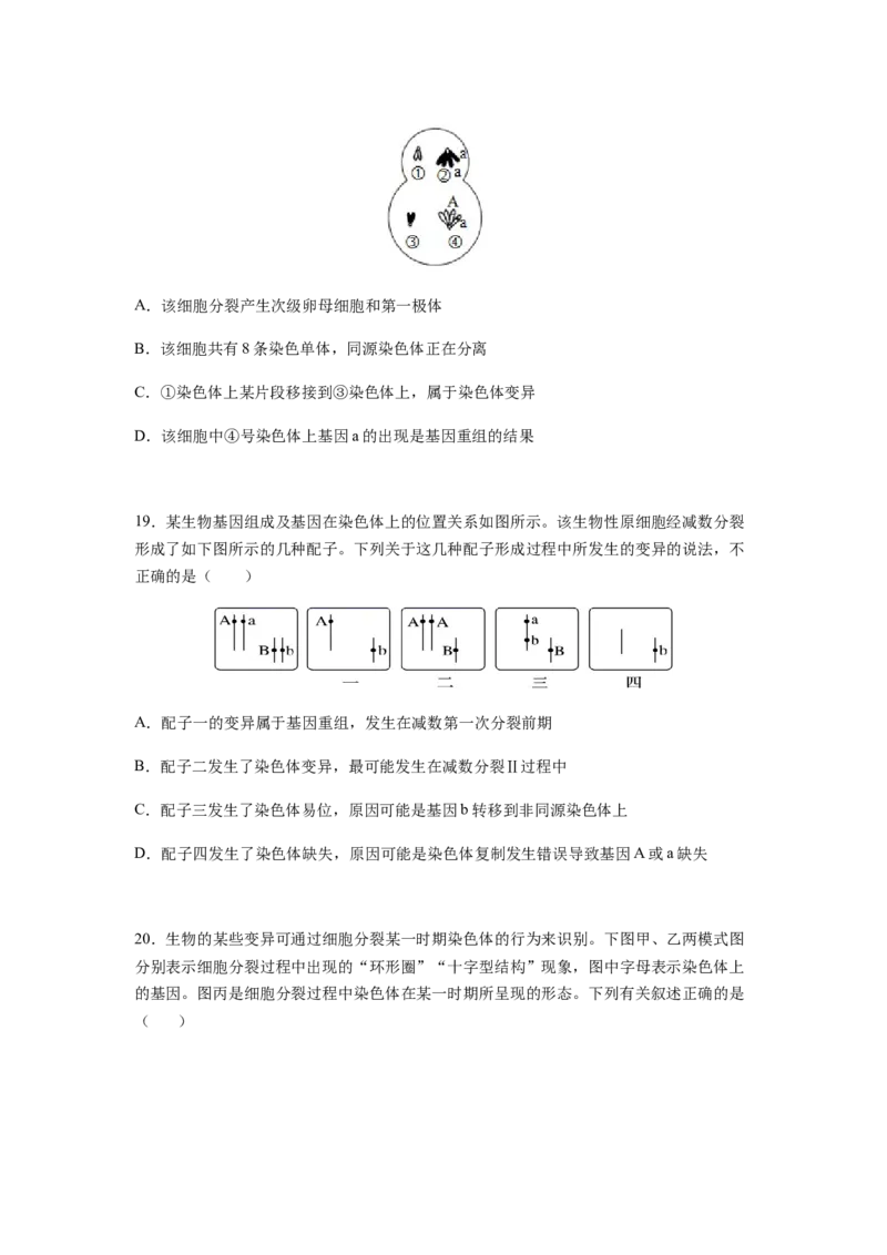 考点22染色体变异（原卷版）_通用版（老高考）复习资料_2023年复习资料_一轮复习_2023年高考生物一轮复习讲练测（全国通用）