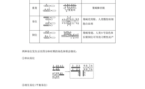 考点22染色体变异（原卷版）_通用版（老高考）复习资料_2023年复习资料_一轮复习_2023年高考生物一轮复习讲练测（全国通用）