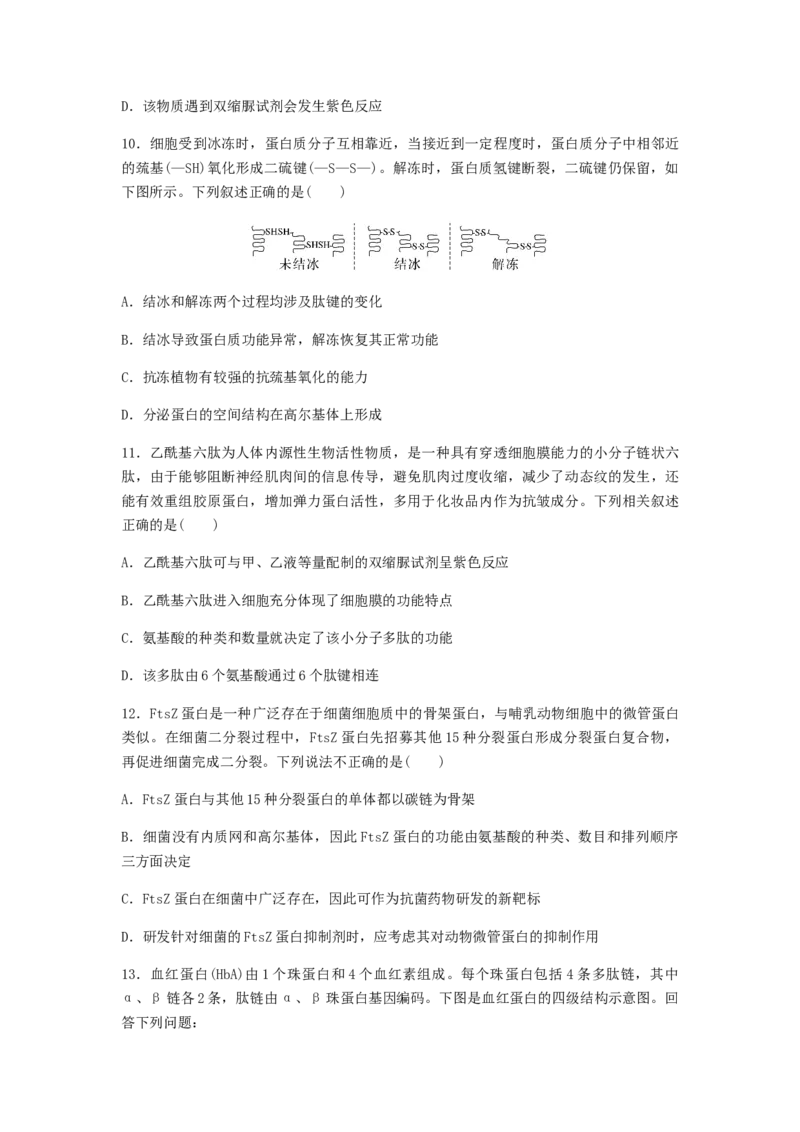 考点05蛋白质的结构和功能（原卷版）_通用版（老高考）复习资料_2023年复习资料_一轮复习_2023年高考生物一轮复习讲练测（全国通用）
