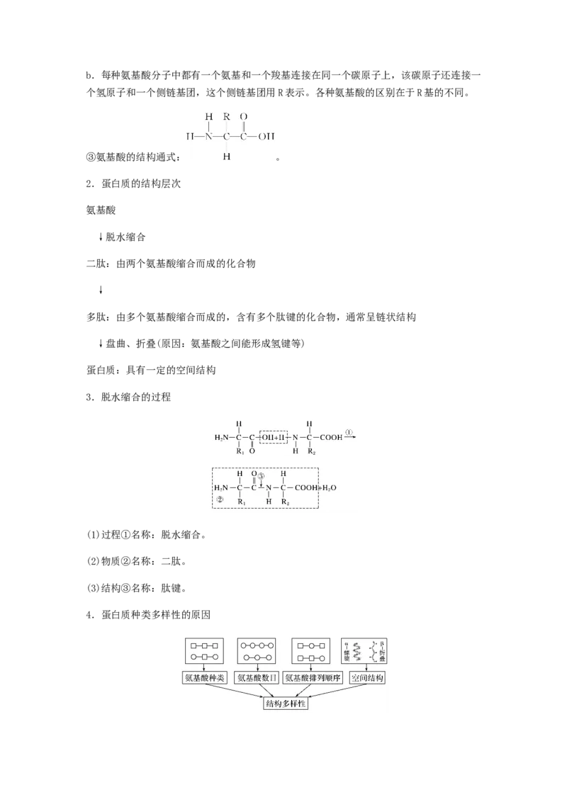 考点05蛋白质的结构和功能（原卷版）_通用版（老高考）复习资料_2023年复习资料_一轮复习_2023年高考生物一轮复习讲练测（全国通用）