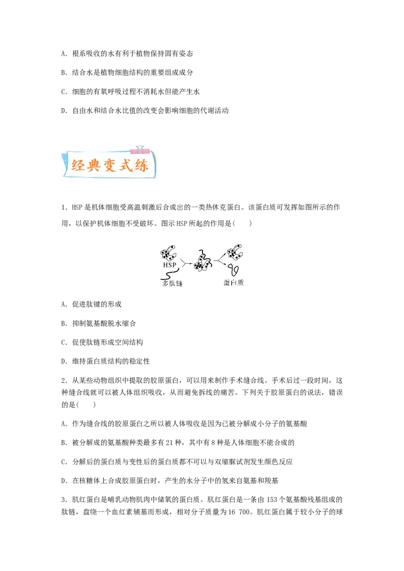 考点05蛋白质的结构和功能（原卷版）_通用版（老高考）复习资料_2023年复习资料_一轮复习_2023年高考生物一轮复习讲练测（全国通用）