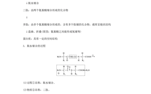考点05蛋白质的结构和功能（原卷版）_通用版（老高考）复习资料_2023年复习资料_一轮复习_2023年高考生物一轮复习讲练测（全国通用）
