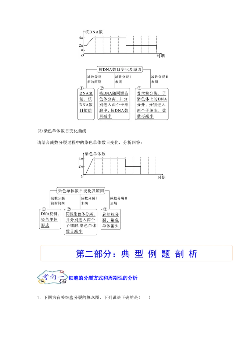 考点13细胞增殖（核心考点讲与练）-2023年高考生物一轮复习讲练测（全国通用）（原卷版）_通用版（老高考）复习资料_2023年复习资料_一轮复习