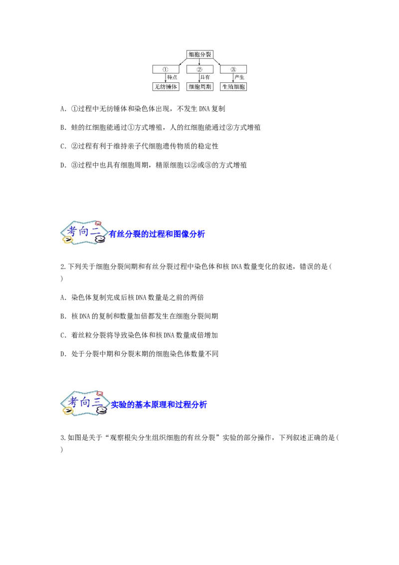 考点13细胞增殖（核心考点讲与练）-2023年高考生物一轮复习讲练测（全国通用）（原卷版）_通用版（老高考）复习资料_2023年复习资料_一轮复习