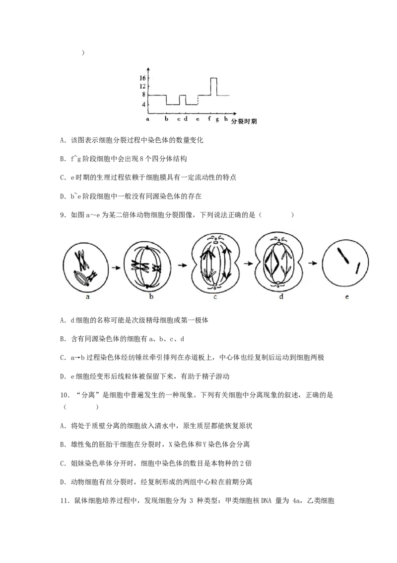 考点13细胞增殖（核心考点讲与练）-2023年高考生物一轮复习讲练测（全国通用）（原卷版）_通用版（老高考）复习资料_2023年复习资料_一轮复习