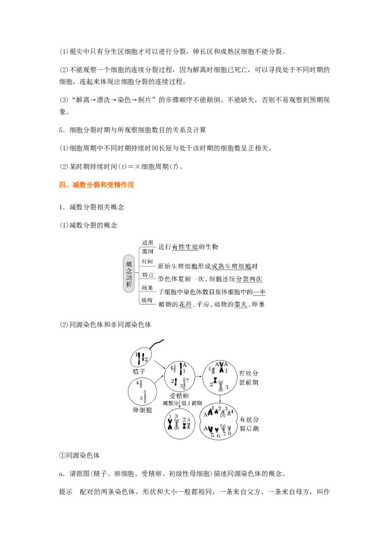 考点13细胞增殖（核心考点讲与练）-2023年高考生物一轮复习讲练测（全国通用）（原卷版）_通用版（老高考）复习资料_2023年复习资料_一轮复习