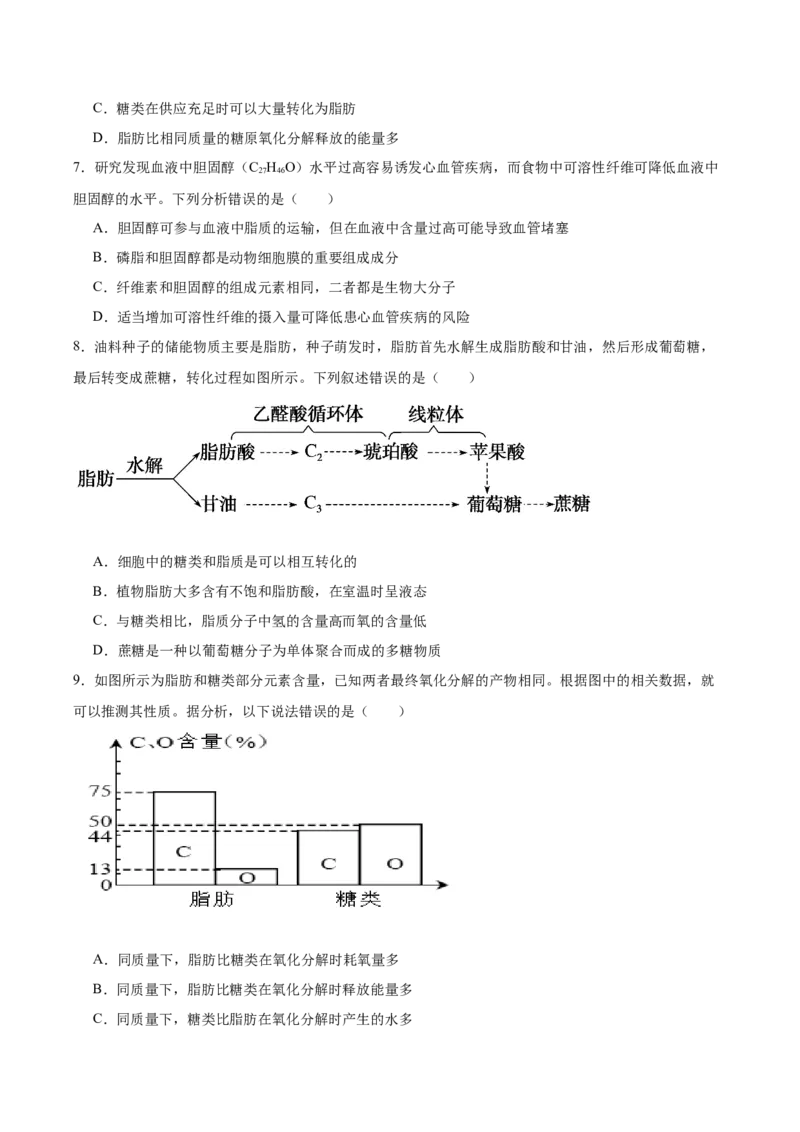 考点通关卷03糖类和脂质（原卷版）_新高考复习资料_2025年新高考资料_2025年高考生物一轮复习考点通关卷（新高考通用）