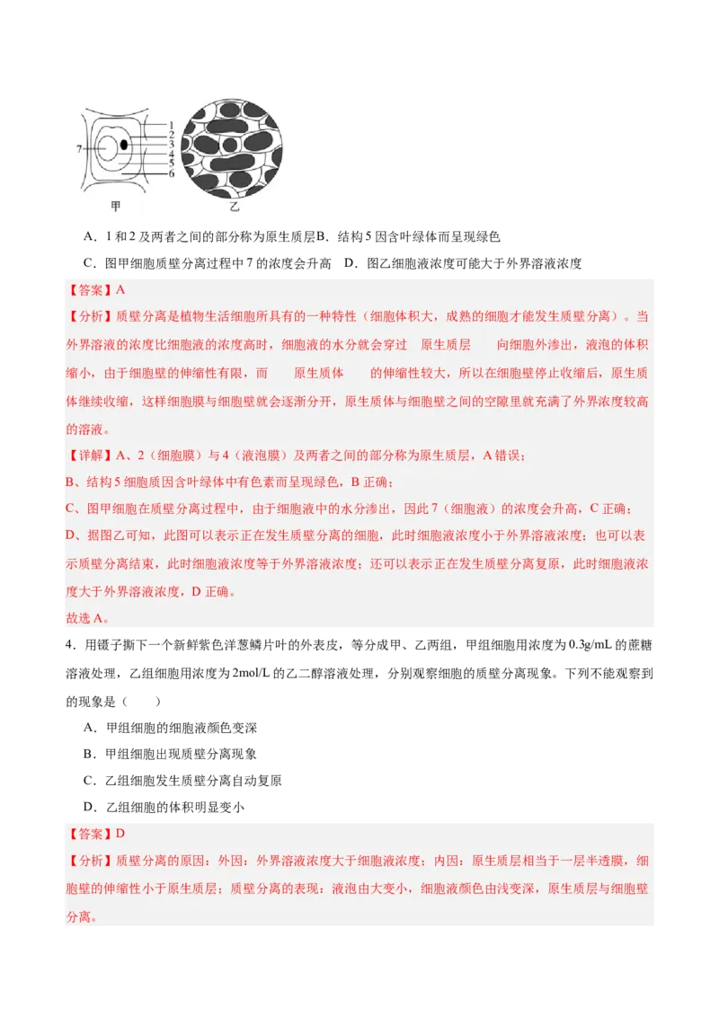 考点通关卷07物质运输（解析版）_新高考复习资料_2025年新高考资料_2025年高考生物一轮复习考点通关卷（新高考通用）
