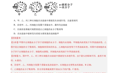 考点通关卷07物质运输（解析版）_新高考复习资料_2025年新高考资料_2025年高考生物一轮复习考点通关卷（新高考通用）
