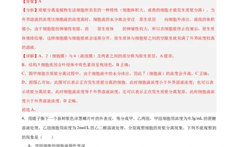 考点通关卷07物质运输（解析版）_新高考复习资料_2025年新高考资料_2025年高考生物一轮复习考点通关卷（新高考通用）