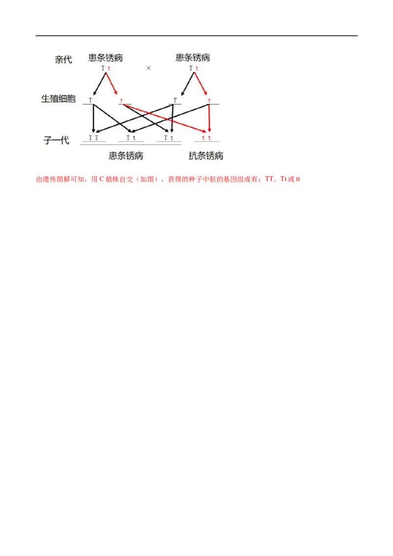 专题19生物的生殖和发育（解析版）_6生物中考复习_2023年中考复习资料_一轮复习_2023年中考生物一轮复习讲练测_专题19生物的生殖和发育（专题精练）-2023年中考生物一轮复习讲练测