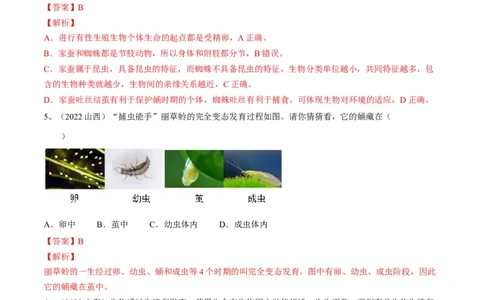专题19生物的生殖和发育（解析版）_6生物中考复习_2023年中考复习资料_一轮复习_2023年中考生物一轮复习讲练测_专题19生物的生殖和发育（专题精练）-2023年中考生物一轮复习讲练测