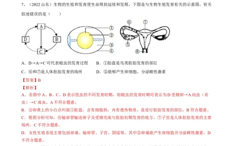 专题19生物的生殖和发育（解析版）_6生物中考复习_2023年中考复习资料_一轮复习_2023年中考生物一轮复习讲练测_专题19生物的生殖和发育（专题精练）-2023年中考生物一轮复习讲练测