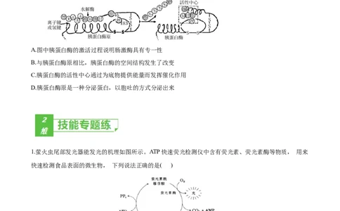 考点04酶和ATP-2022年高考生物一轮复习小题多维练（新高考专用）（原卷版）_新高考复习资料_2022年新高考复习资料_2022年高考生物一轮复习小题多维练（新高考专用）8.8更新