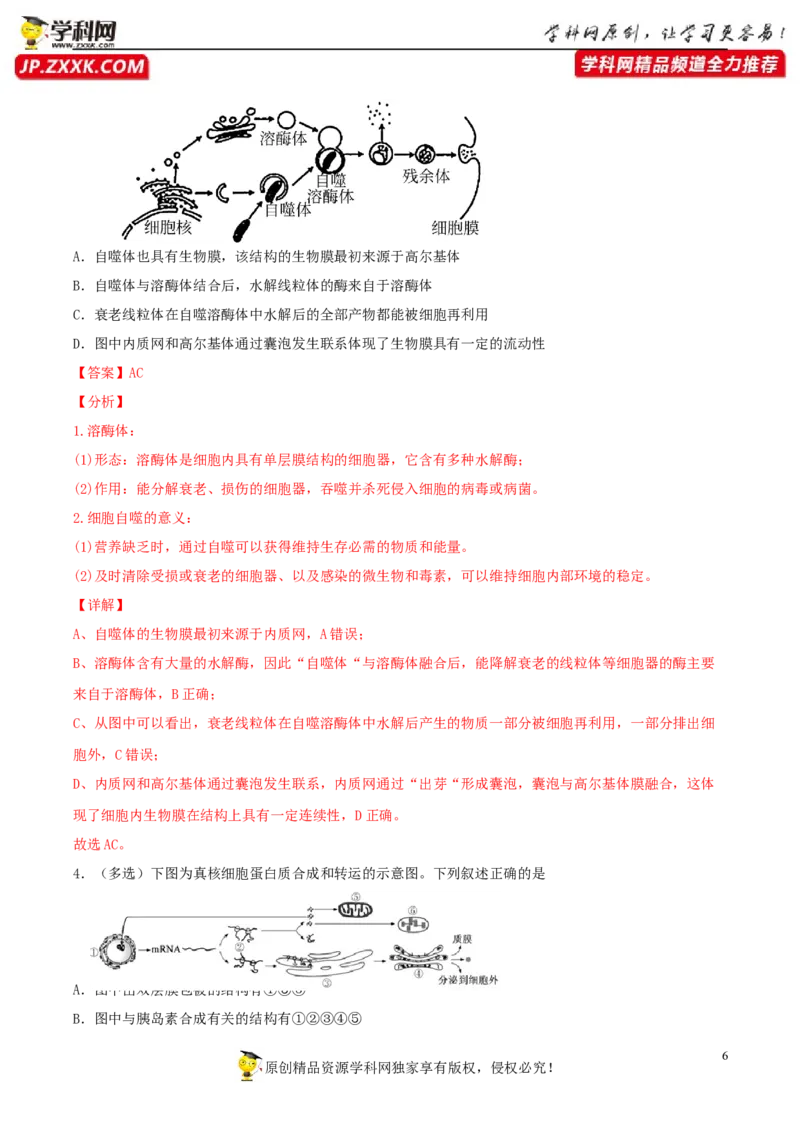 考点02细胞的结构和功能-2022年高考生物一轮复习小题多维练（新高考专用）（解析版）_新高考复习资料_2022年新高考复习资料_2022年高考生物一轮复习小题多维练（新高考专用）8.8更新