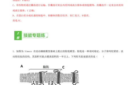 考点02细胞的结构和功能-2022年高考生物一轮复习小题多维练（新高考专用）（解析版）_新高考复习资料_2022年新高考复习资料_2022年高考生物一轮复习小题多维练（新高考专用）8.8更新