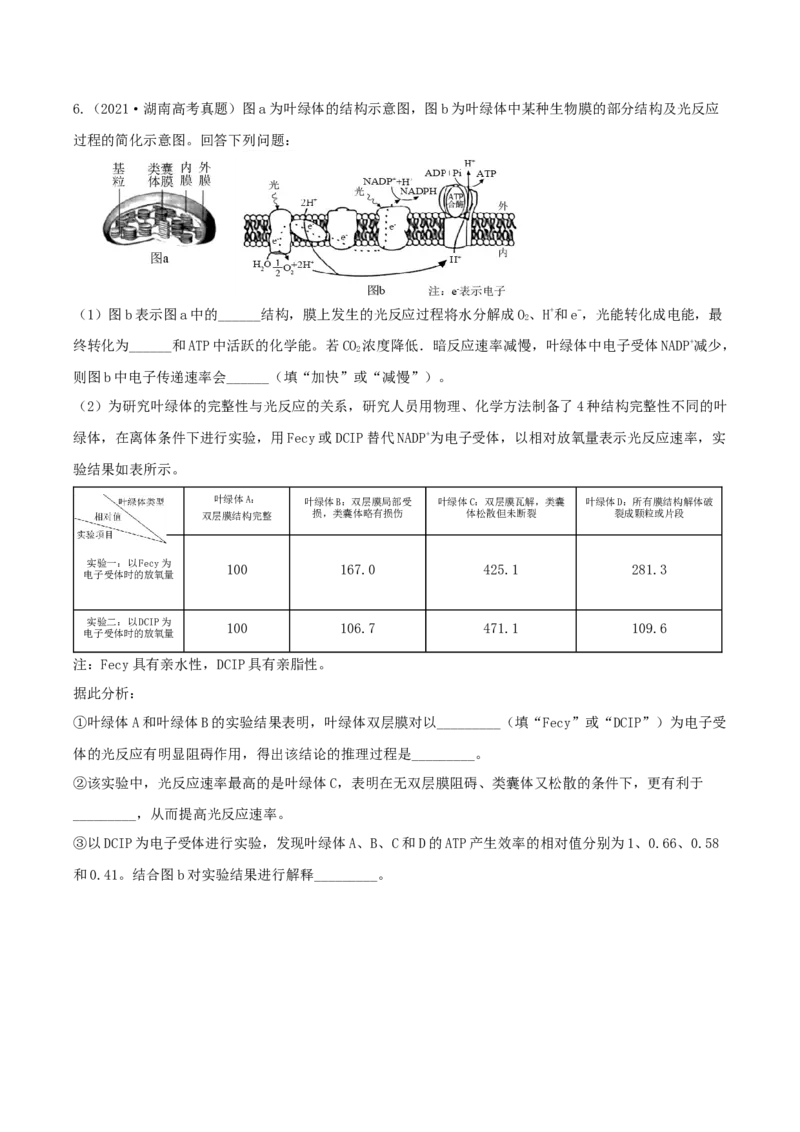 考点02细胞的结构和功能-2022年高考生物一轮复习小题多维练（新高考专用）（原卷版）_新高考复习资料_2022年新高考复习资料_2022年高考生物一轮复习小题多维练（新高考专用）8.8更新