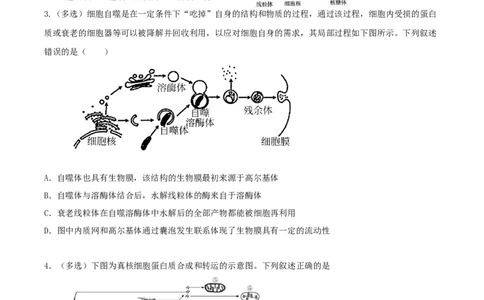 考点02细胞的结构和功能-2022年高考生物一轮复习小题多维练（新高考专用）（原卷版）_新高考复习资料_2022年新高考复习资料_2022年高考生物一轮复习小题多维练（新高考专用）8.8更新