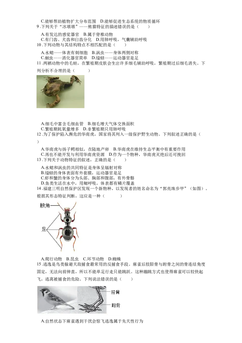 专题20动物的主要类群（原卷版）_6生物中考复习_2024年中考复习资料_一轮复习资料_完精准复习课件精讲ppt+习题精练备战2024年中考生物一轮复习全考点通关_配套练习