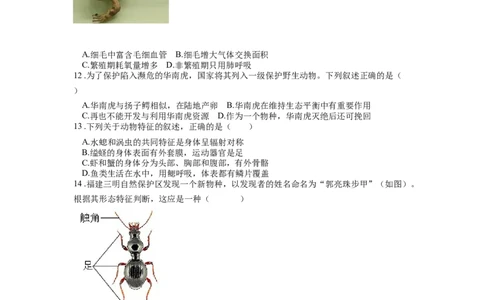 专题20动物的主要类群（原卷版）_6生物中考复习_2024年中考复习资料_一轮复习资料_完精准复习课件精讲ppt+习题精练备战2024年中考生物一轮复习全考点通关_配套练习