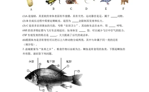 专题20动物的主要类群（原卷版）_6生物中考复习_2024年中考复习资料_一轮复习资料_完精准复习课件精讲ppt+习题精练备战2024年中考生物一轮复习全考点通关_配套练习